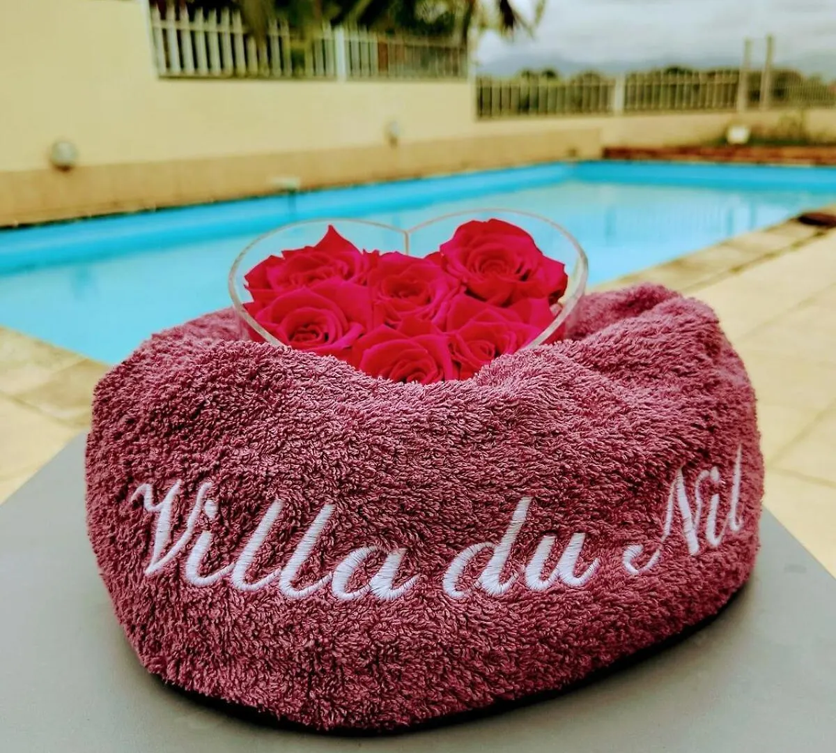 Le Nil Deluxe Avec Piscine باي-ماؤو